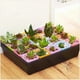 thumbnail image 3 of 20 bandejas de cultivo., 3 of 3