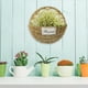 thumbnail image 2 of GOOHOCHY Maceta colgante de pared tejida para plantas, cesta colgante para flores, cesta colgante tejida para macetas, 2 of 8