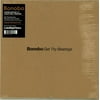 Bonobo - Get Thy Bearings - 10"