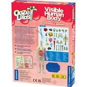 Thames & Kosmos Ooze Labs: Visible Human Body Model with Squishable Organs, Children Ages 6+
