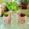 thumbnail image 5 of Flora Bunda 5" Empty Ceramic Llama,Set of 2, Pink, 5 of 5