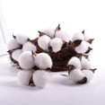 thumbnail image 3 of Flores secas, 3 of 5