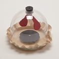 thumbnail image 2 of Lung Function Model, 2 of 2