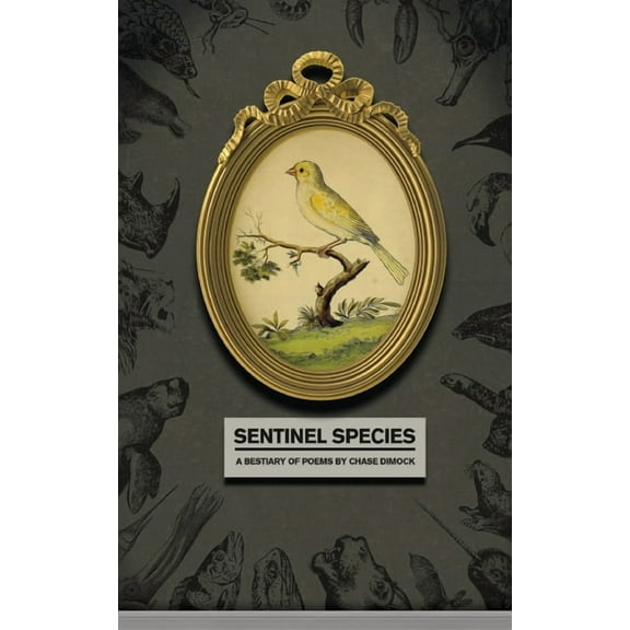 Sentinel Species, (Paperback)