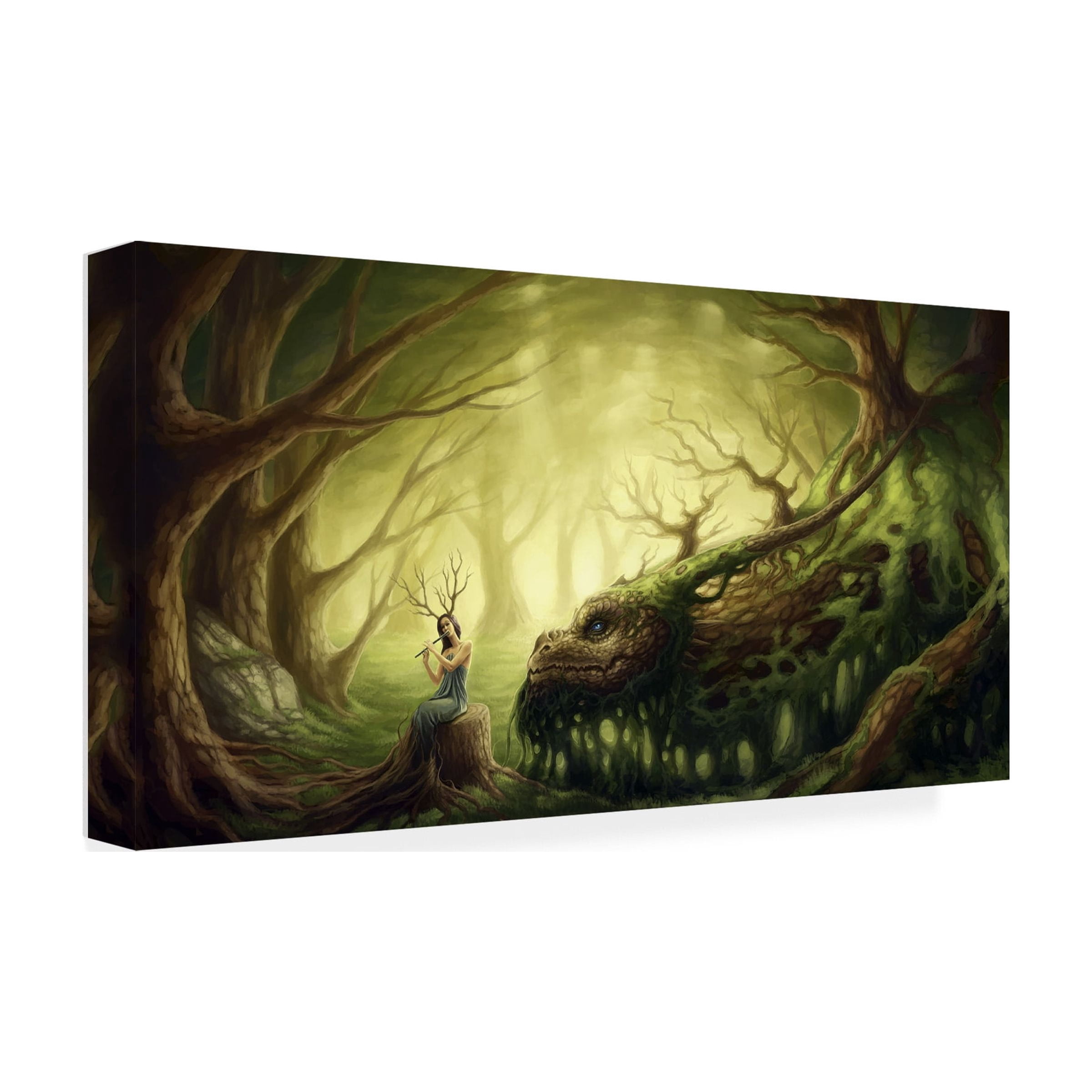 Trademark Fine Art Jojoesart Forgotten Fairytales Canvas Wall Art - 24x47