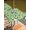 Green LawnGreen, variant on Outdoor Tablecloth with Umbrella Hole and Zipper, St. Patrick's Day Rectangle Table Cloth 52x70 Inch Waterproof Tablecloth, Watercolor Lucky Shamrocks Vintage Leaves Picnic Table Cover for Patio