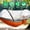 Orange+Gray, variant on Teqhome 3-in-1 Camping Hammock Hammock with Mosquito Net 440lbs Capacity Dual-Way Zippers Attached Storage Pocket for Outdoor Travel Hiking Backpacking