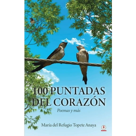 100 puntadas del corazón: Poemas y más (Paperback)