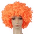 thumbnail image 2 of Disfraces de Halloween 2024 Peluca afro negra para adultos y niños, peluca divertida con diseño de abanico, accesorios retro con rizos tipo discoteca, 2 of 5