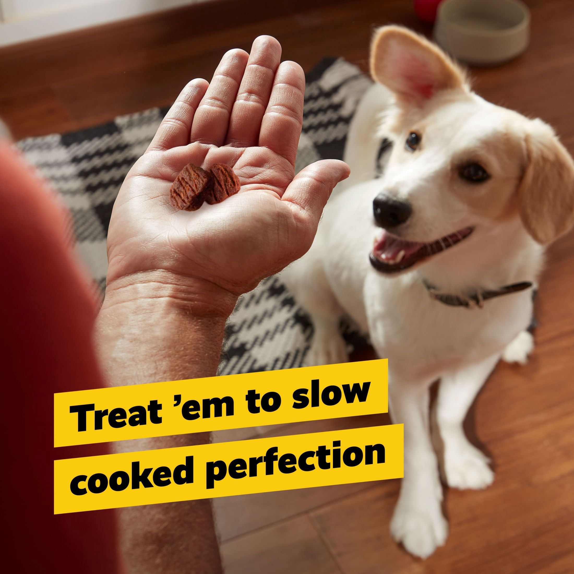 Pup Peroni Tender Cuts, Beef Recipe Dog Treats Slow Cooked for 4 Hours, 20 oz Canister