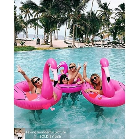 leer inflatable flamingo pool