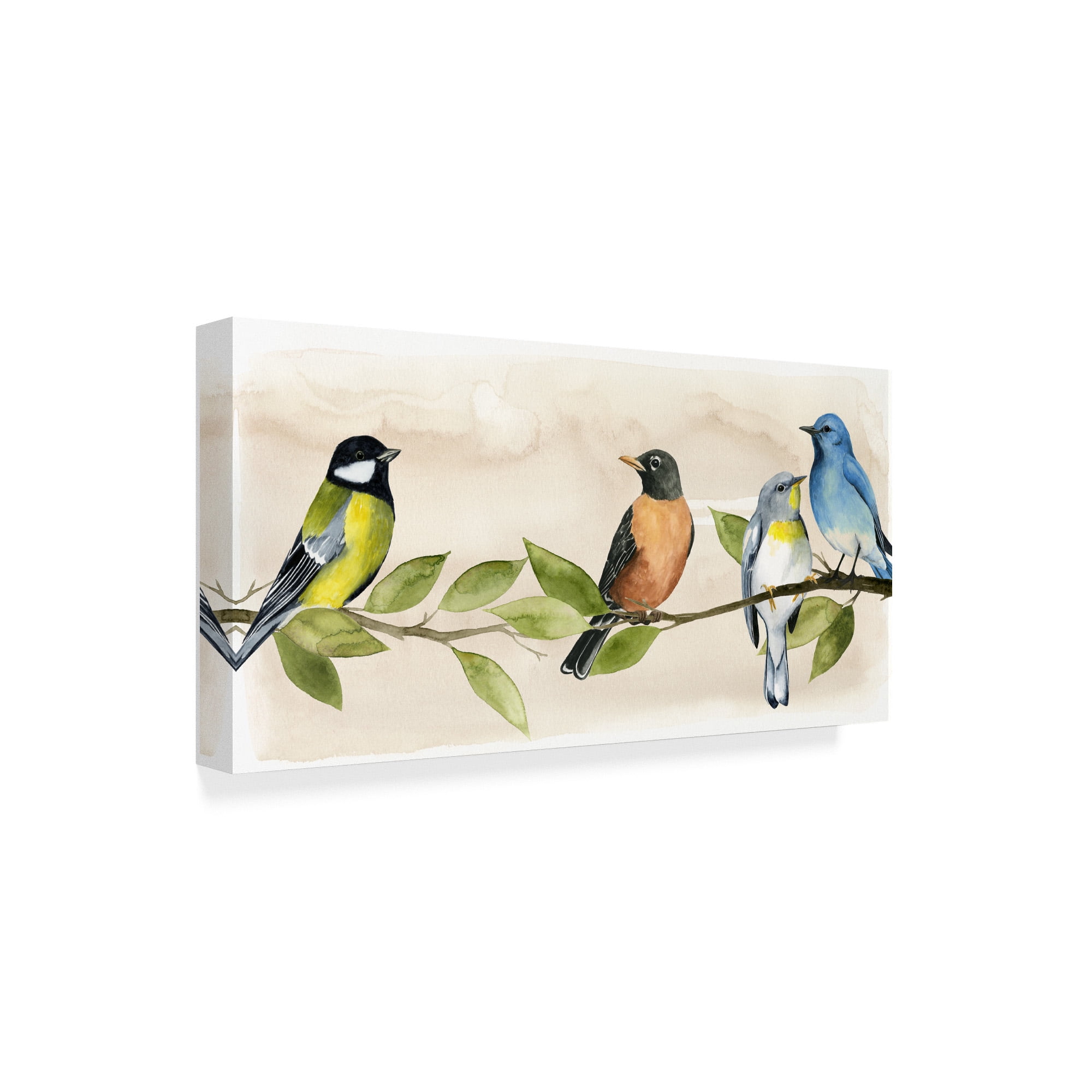 Trademark Fine Art 'Treetop Gathering I' Canvas Art by Grace Popp