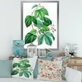 thumbnail image 3 of Designart 'Ancient Green Leaves Plants III' Traditional Framed Art Print, 3 of 4