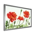 thumbnail image 2 of Designart 'Ancient Red Poppies III' Traditional Framed Art Print, 2 of 4