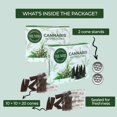 thumbnail image 2 of Cannabis Scented Incense Cones - Total 20 Cone Incense - Dual Pack of 10 Insence Cones - Incense Cones Scented - Cone Incense Scents - Insense Cones - Incent Cone, 2 of 5