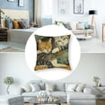 thumbnail image 5 of nygtbtfer Cat Throw Pillow Case, Set of 2, Gifts for Cat Lover, Funny Cat Pillow, Children Room Decoration, Cat Owners Gifts, Cat Theme Room Decor, Cushion Cover for Sofa Couch Bed 12x12in, 5 of 7