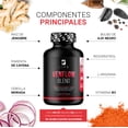 thumbnail image 3 of Venflow Blend B Life 90 cápsulas Jengibre Ajo negro Arginina Resveratrol Vitamina B3 Cebolla Morada Pimienta de Cayena, 3 of 6