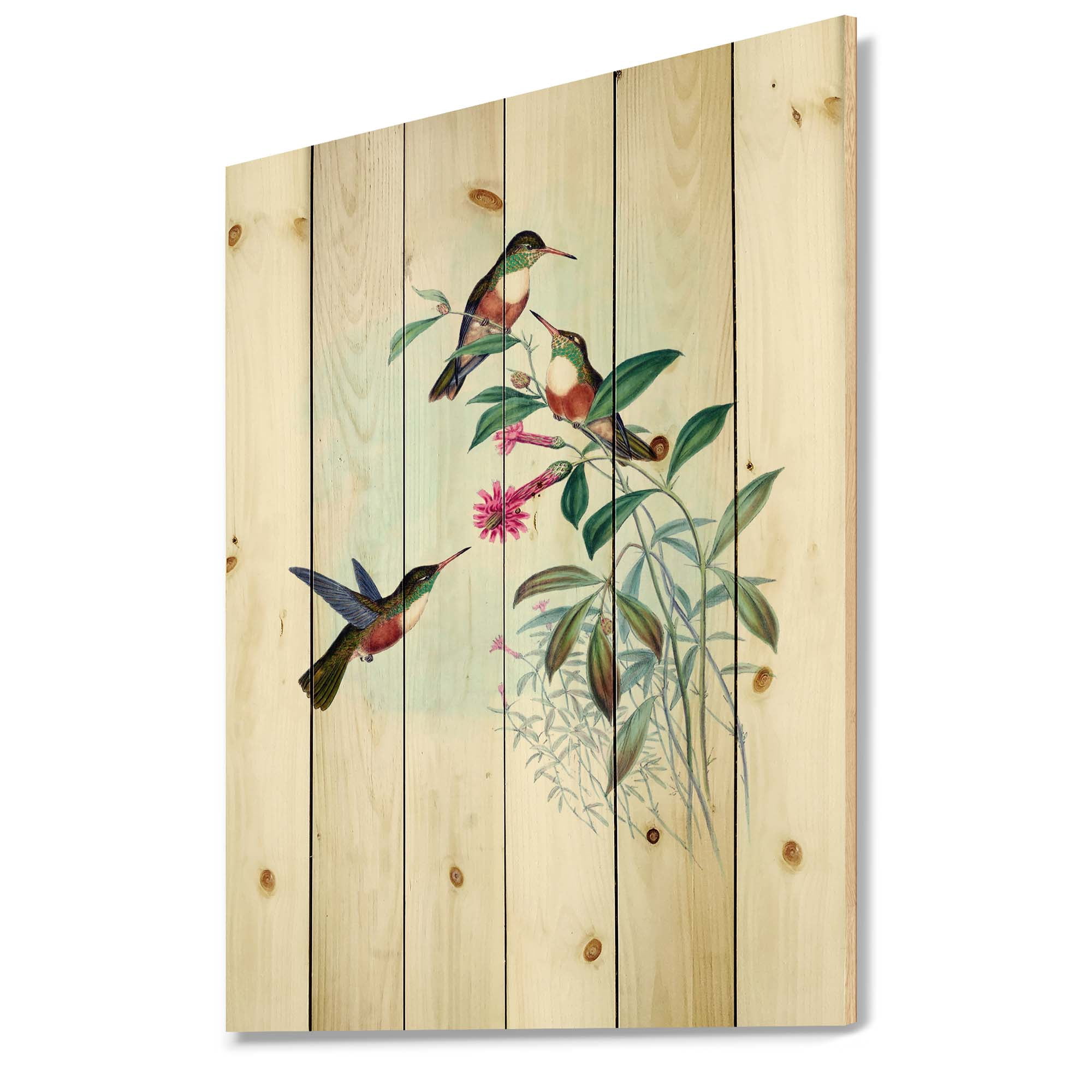 Designart 'Ancient Hummingbird IV' Traditional Print on Natural Pine Wood