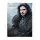 thumbnail image 2 of Rompecabezas de 300, 500 y 1000 piezas de Jon Snow, divertido juego familiar, juguetes educativos de madera para niños y niñas, regalo para niños adultos, 2 of 8