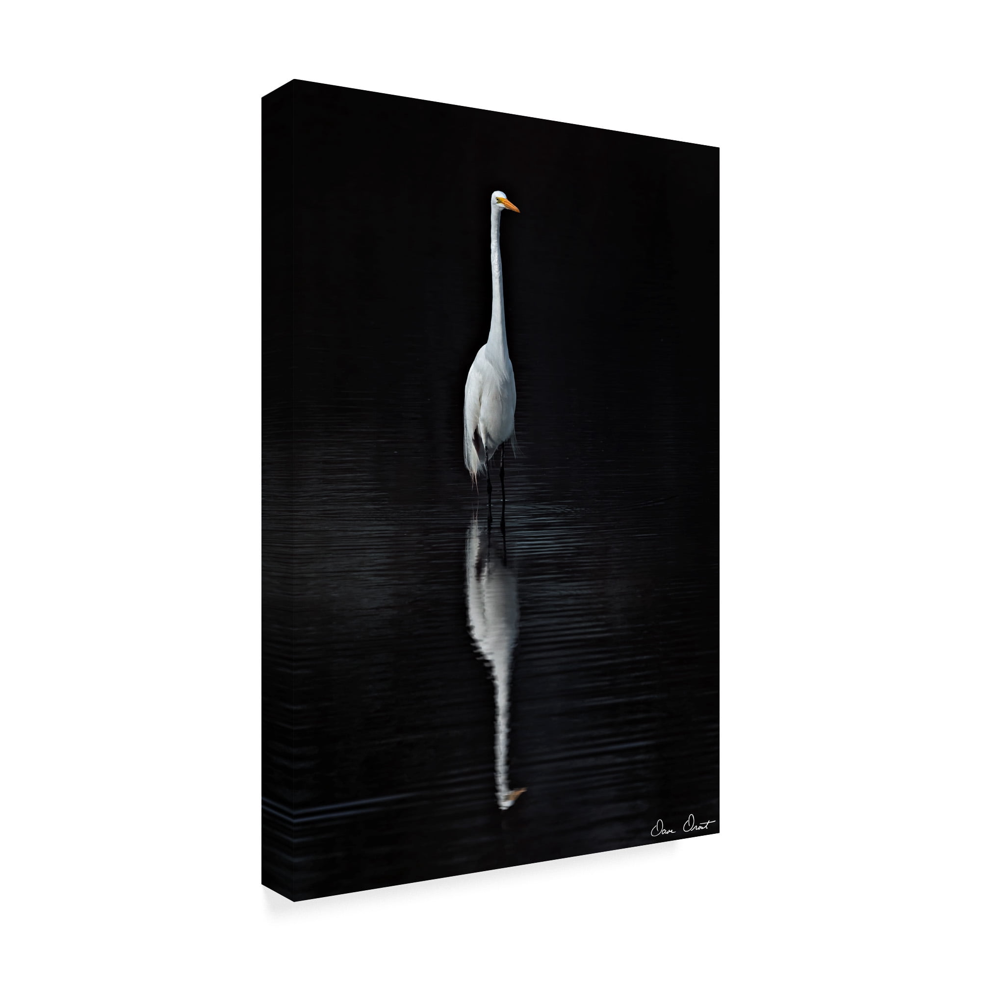 Trademark Fine Art 'Elegant Egret I' Canvas Art by David Drost