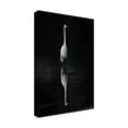 thumbnail image 2 of Trademark Fine Art 'Elegant Egret I' Canvas Art by David Drost, 2 of 4