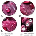 thumbnail image 3 of Designart "Intimate Red Rose with Raindrops XI" Roses Metal Wall Decor, 3 of 5