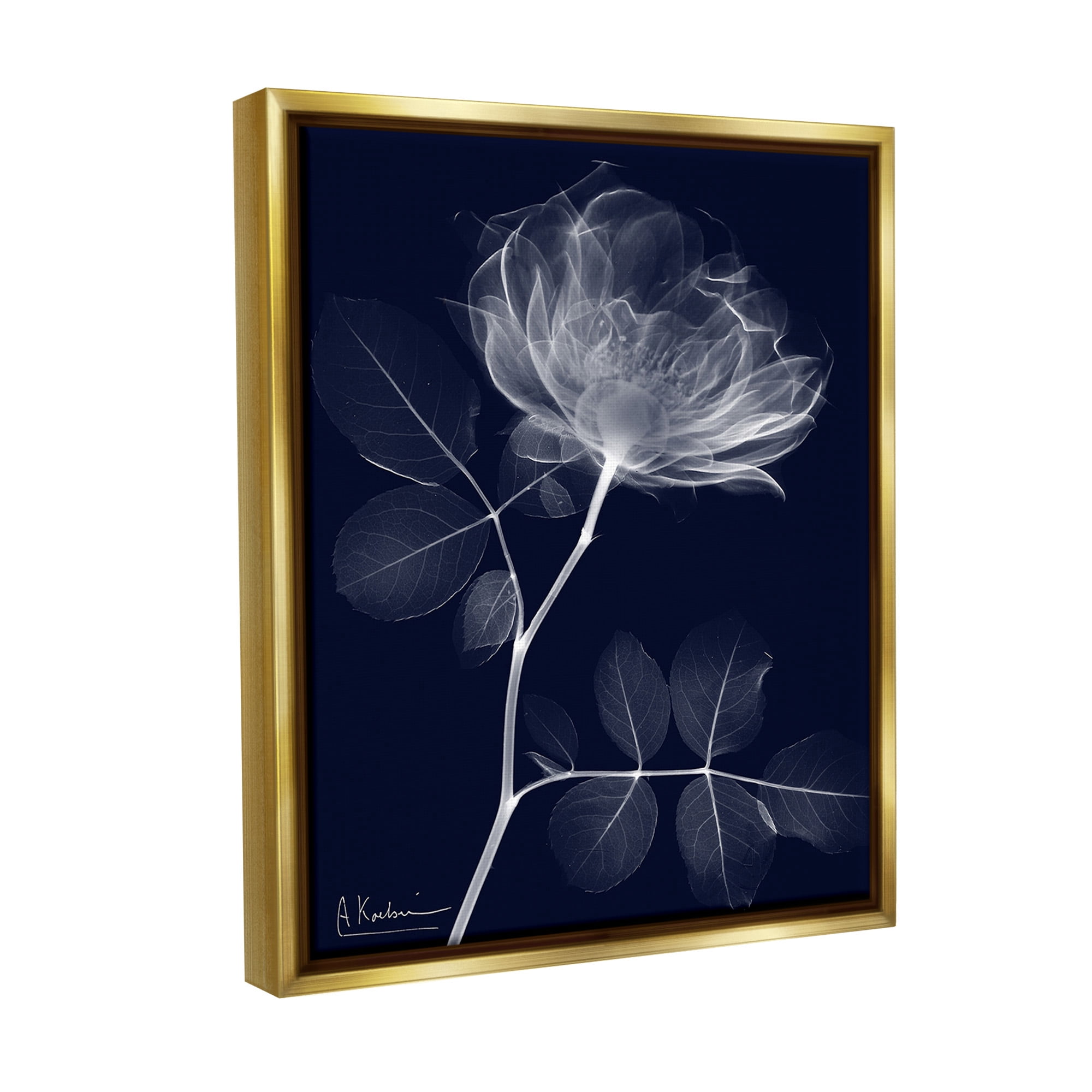 Stupell Industries Dynamic Dark Flower Botanical & Floral Photography Gold Floater Framed Canvas Art Print Wall Art, 25 x 31