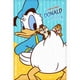 thumbnail image 2 of Donald, Chip Y Dale Rompecabezas 600 Pz de Plástico PieceRelax, 2 of 4