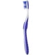 thumbnail image 4 of Cepillo de Dientes Manual Colgate 360 Enamel Health Sensible, Cabezal Compacto, Extra Suave (Colores Variados) - Paquete de 313, 4 of 9