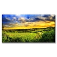 thumbnail image 1 of Cuadro Canva Listo Para Colgar Tipo Galería 50X100 cm Pixtreats, 1 of 4