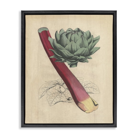 Stupell Industries Shabby Chic Vintage Vegetable Studies Black Floating Frame Canvas Art, 17 x 21, by Lil' Rue