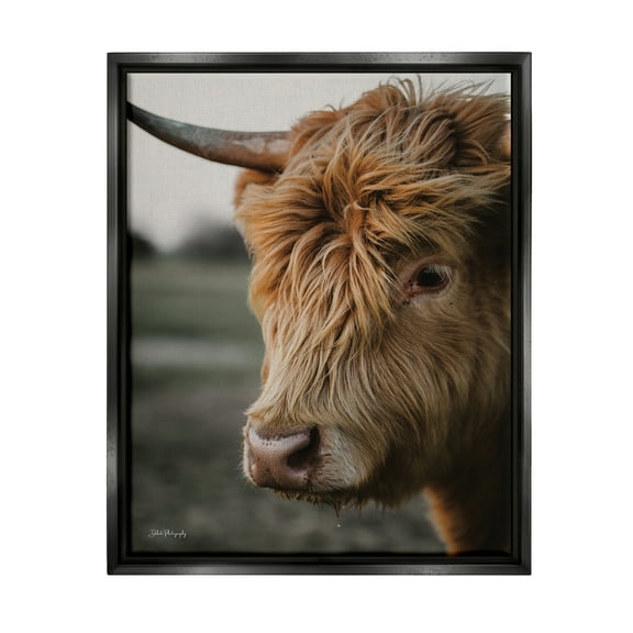 Stupell Industries Cattle Gazing Portrait Animals & Insects Photography Black Floater Framed Art Print Wall Art, 17 x 21