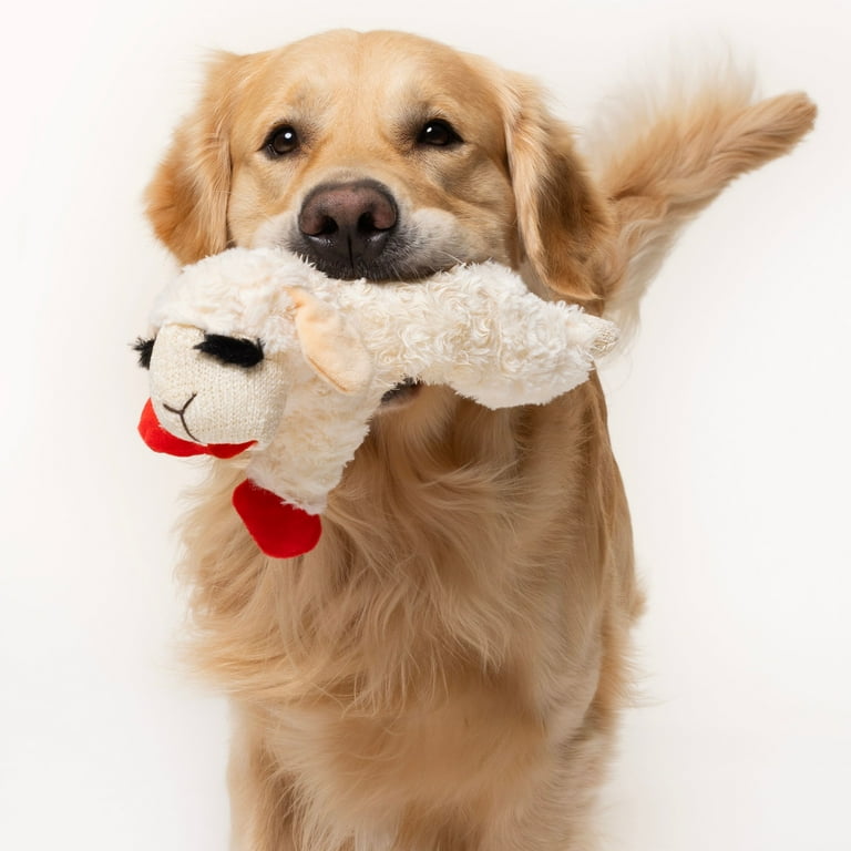 Multipet Soft Plush Lamb Chop with Squeaker, Dog Toy, Size: 10.5