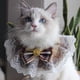 thumbnail image 5 of Cute Bowtie Cat Toalla de saliva ajustable a cuadros para perros pequeños gatos (amarillo S) Sywqhk Libre de BPA, 5 of 8