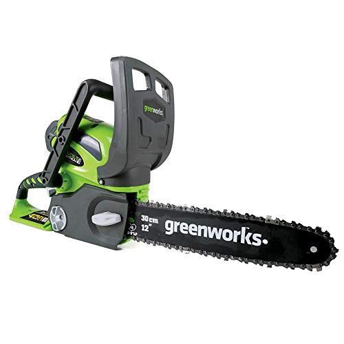greenworks 20292 G-MAX 40V 12-Inch 