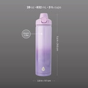 TAL 28oz Stainless Steel Ranger Push Lock Lid Water Bottle, Purple Shimmer