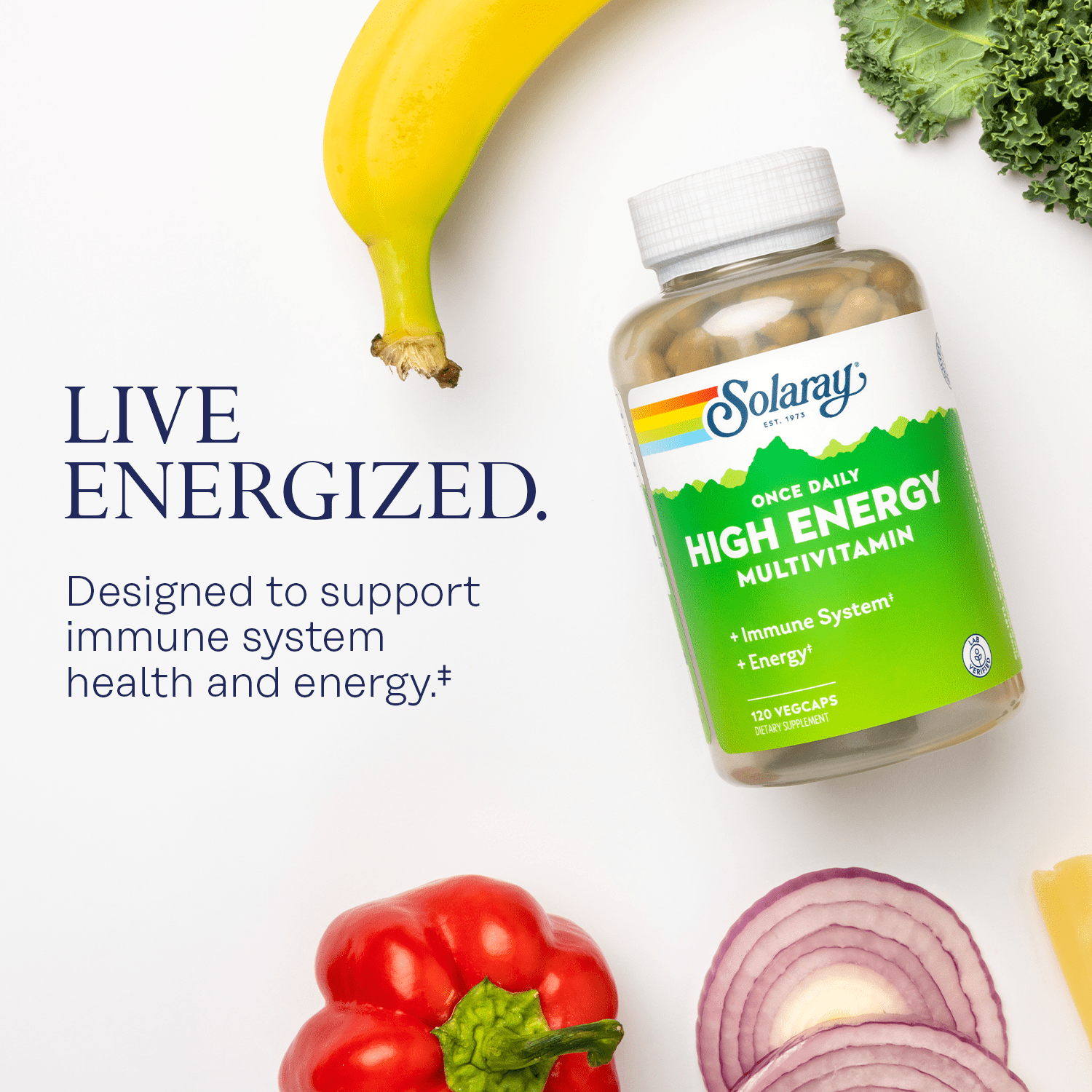Solaray Once Daily High Energy Multivitamin | Supports Immunity & Energy | Whole Food Base Ingredients | Mens and Womens Multi Vitamin | 120 VegCaps