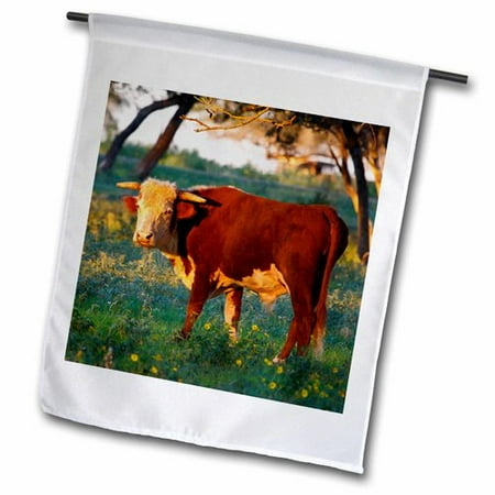 3dRose Herford Bull Cow  Pasture Near Gonzales  Texas  USA - Larry Ditto Polyester 2 3   x 1 6   Garden Flag