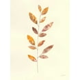 thumbnail image 2 of Prahl, Courtney 12x14 White Modern Wood Framed Museum Art Print Titled - Natural Wonder V, 2 of 4
