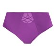 thumbnail image 4 of Elomi Cate Full Panty Brief (4036),XL,Dahlia, 4 of 6