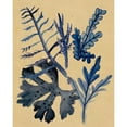 thumbnail image 3 of Wang, Melissa 15x18 Black Modern Framed Museum Art Print Titled - Underwater Forest II, 3 of 5