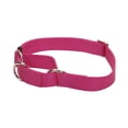 thumbnail image 1 of Collar para perro Coastal Martingale ajustable con forma de flamenco rosa, 2 cm, 36 a 51 cm, 1 of 1