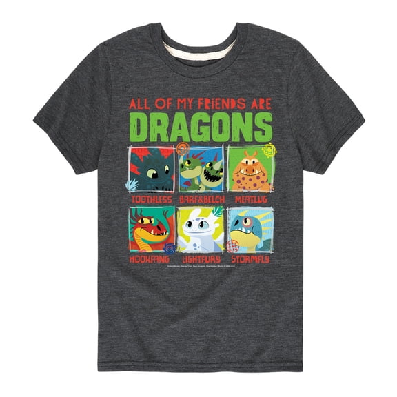 How to Train Your Dragon - All My Friends Are Dragons Short Sleeve Graphic T-Shirt
