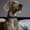 thumbnail image 2 of CSChome Pet Collar With Exquisite Workmanship Retro Denim Dog Collar - Tassel Decor, Comfortable Adjustable Plaid Pet Neck Strap, 2 of 7
