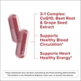 thumbnail image 2 of Qunol Blood Pressure Support, 3 in 1 Beets + CoQ10 + Grape Seed Extract, Beet Root Capsules that Supports Healthy Blood Circulation & Heart Healthy Energy, 60 Count, 2 of 14