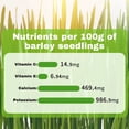 thumbnail image 5 of 5pcs/10 pack Cat Grass Sticks, Freeze Dried Cats Grass Teething Stick, Edible Cat Chew Toy for Teeth Cleaning Dental Health and Hairball Removal, 5 of 6