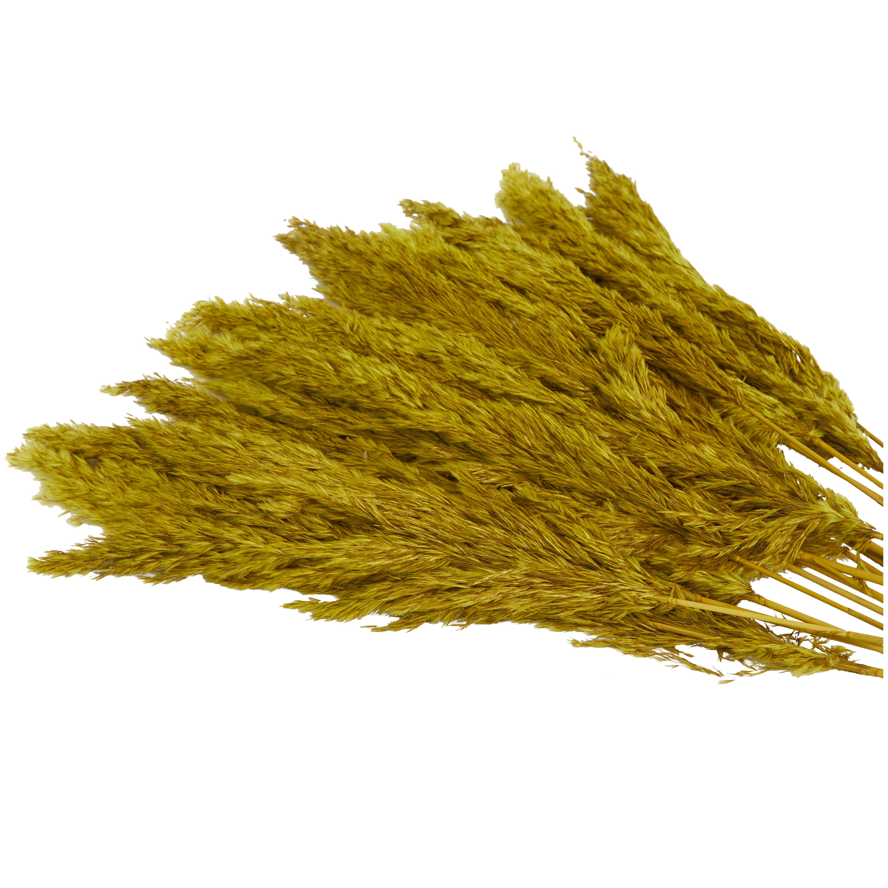35" Dried Plant Natural Foliage Pampas Bouquet with Long Stems, by DecMode