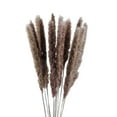 thumbnail image 2 of Accesorios de fotografía, Hierba de Pampa Seca Pequeña Hierba de Pampa Pequeña Natural Decoración de Flores Secas Hierba de Pampa Seca Pequeña Decoración de Fragmitas Impulsada por el Rendimiento, 2 of 8