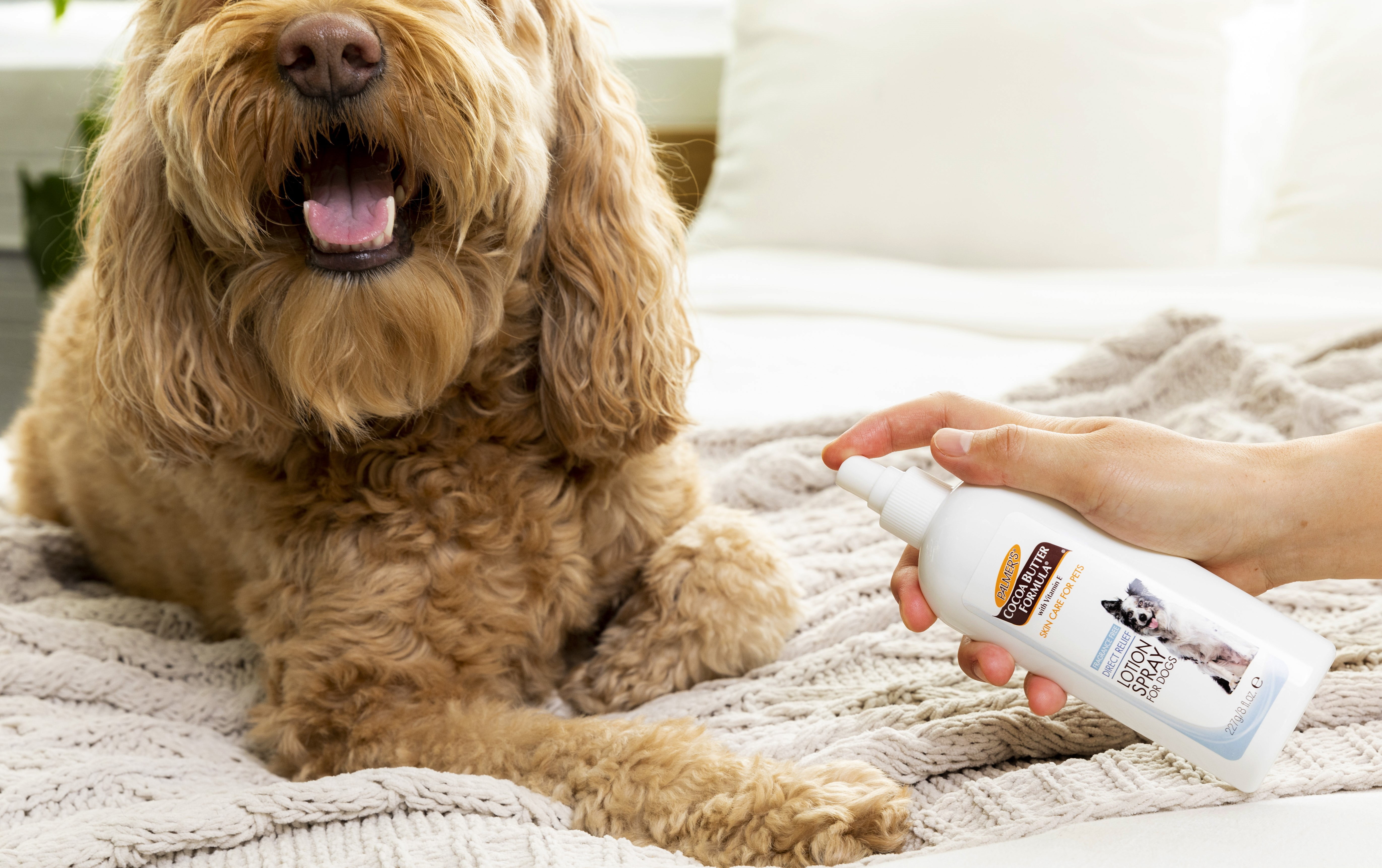 Palmer's For Pets Direct Relief Dog Lotion Spray for Dryness & Itchy Skin with Cocoa Butter 8 oz