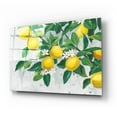 thumbnail image 2 of Epic Art 'Zesty Lemons' by James Wiens, Acrylic Glass Wall Art, 24"x16", 2 of 8